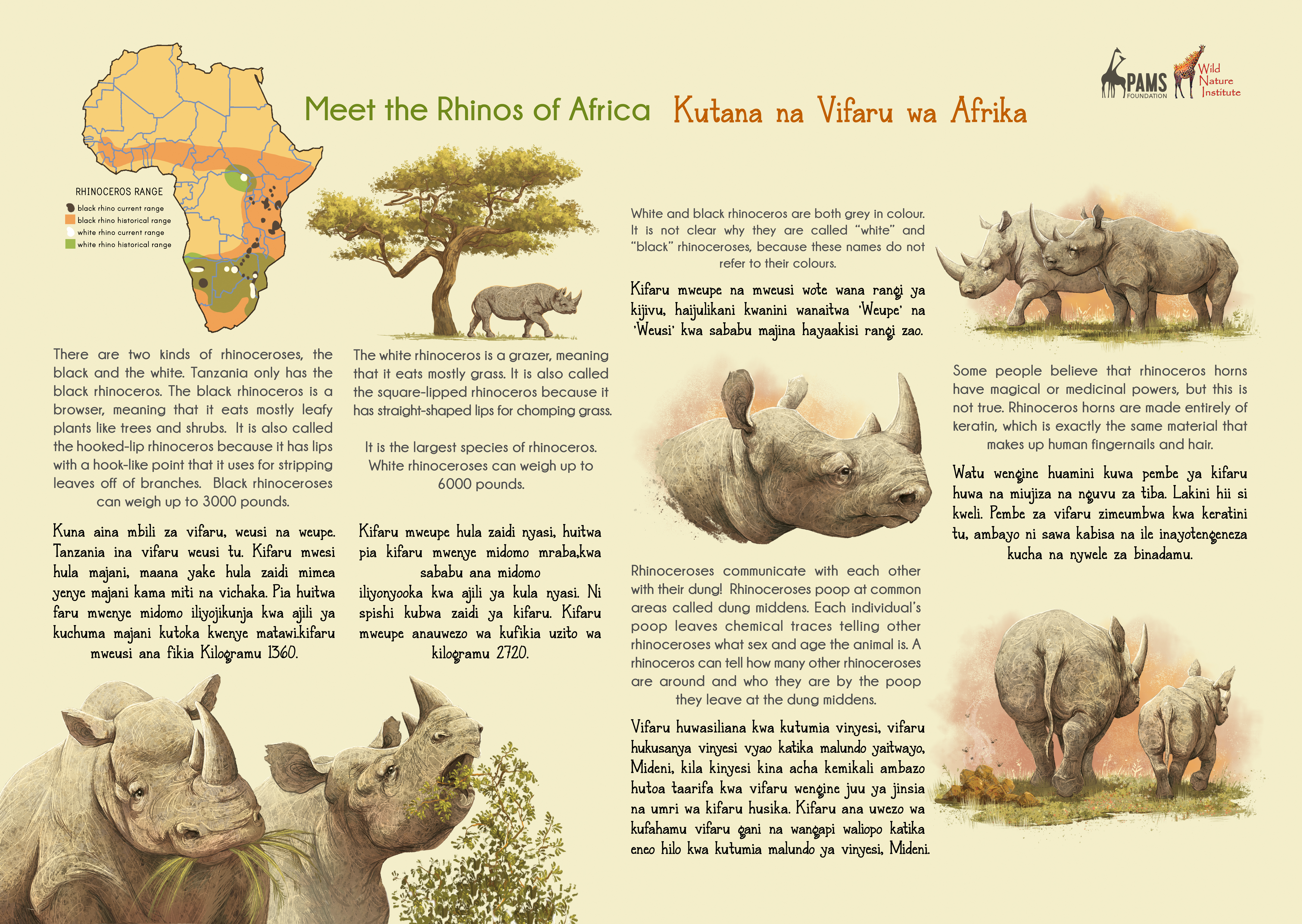 RHINOCEROS - Celebrating Africa's Giants