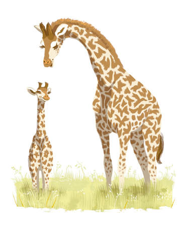 Image from Juma the Giraffe. Copyright Kayla Harren