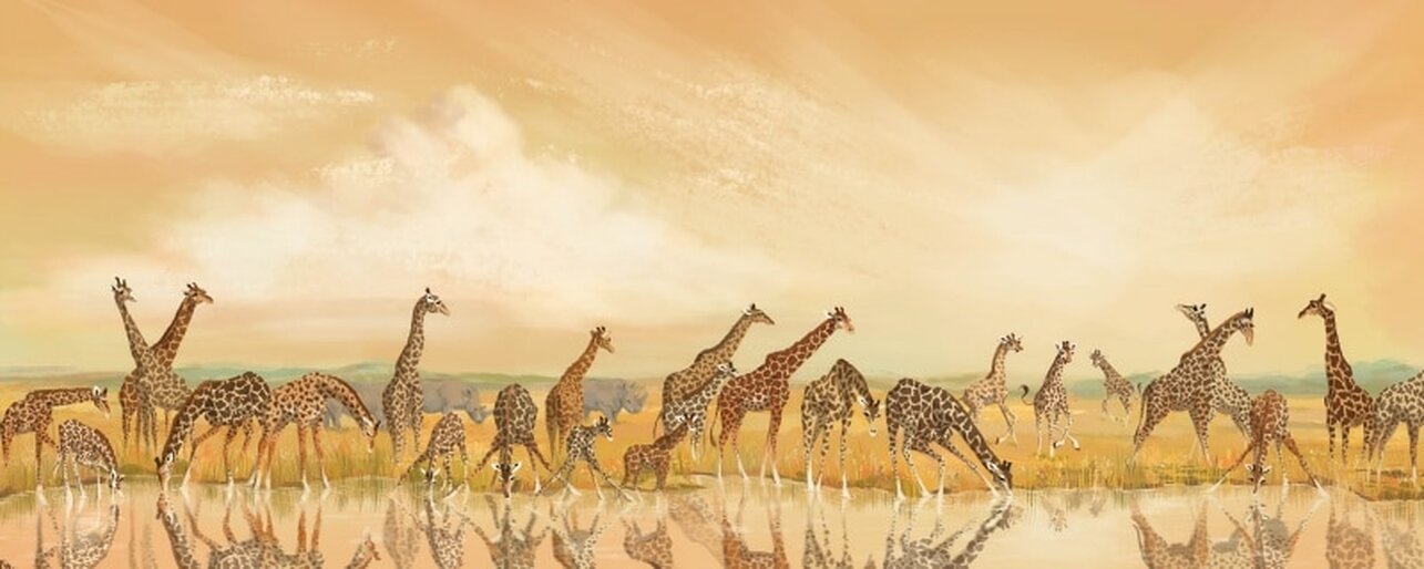 Image from Juma the Giraffe children's storybook. Copyright Kayla Harren